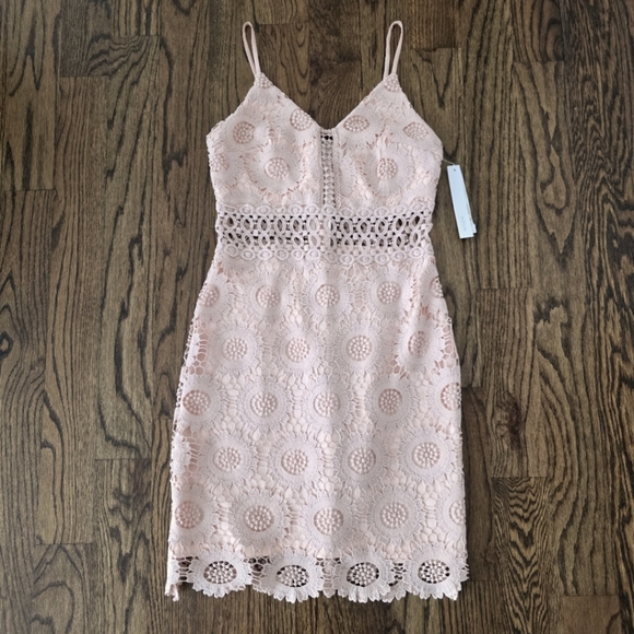 NWT Aqua Blush Floral Lace Dress Size Small - Picture 8 of 8